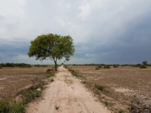 Read more about the article The Mission is Joy